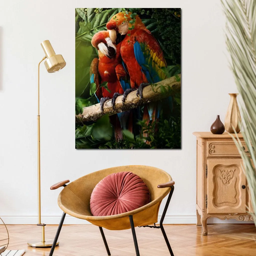 Beautiful Parrots - Milos Karanovic