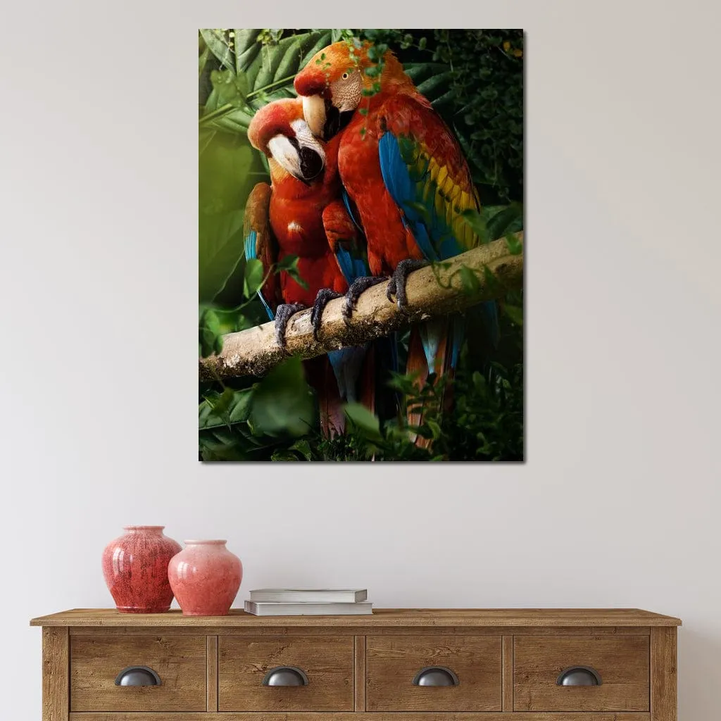 Beautiful Parrots - Milos Karanovic